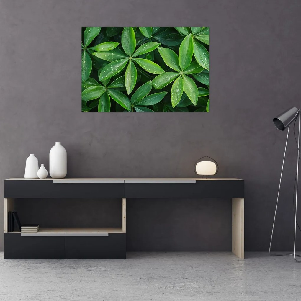 Tablou - Frunze cu picături de rouă (90x60 cm)