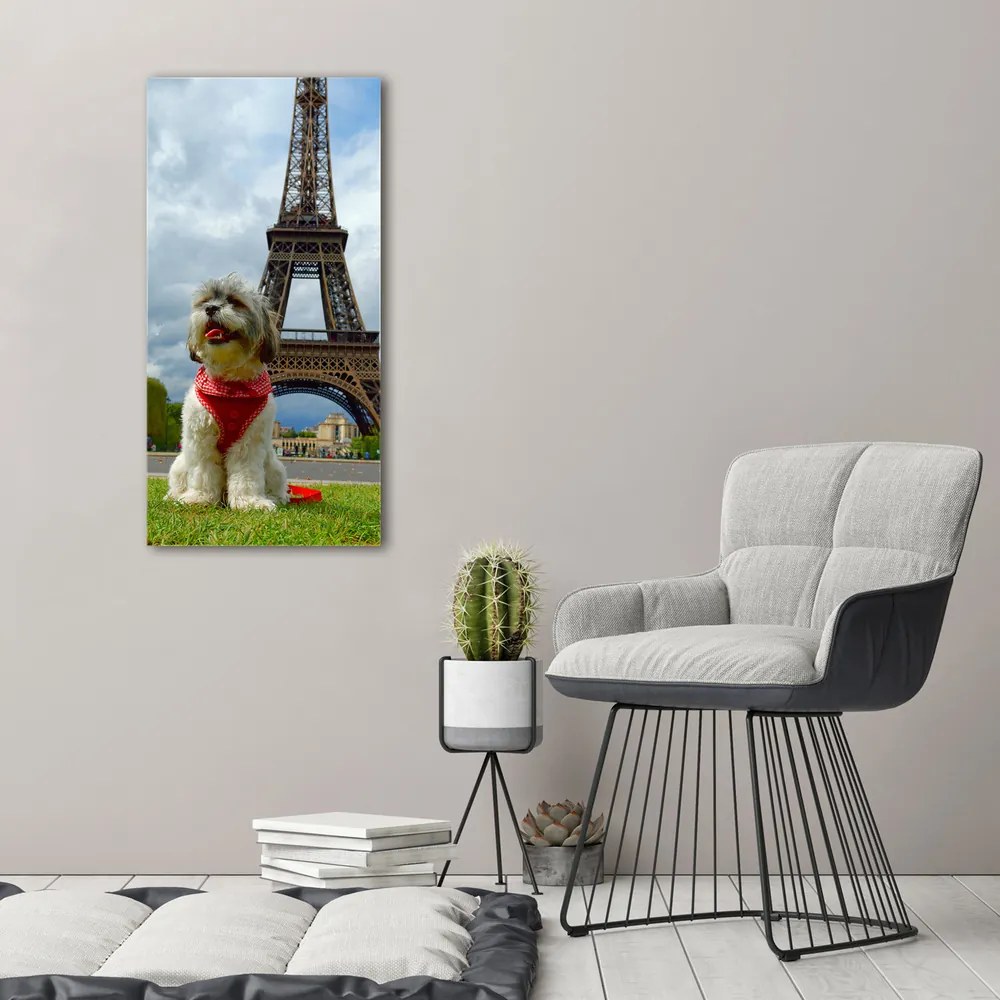 Print pe pânză Câine din Paris