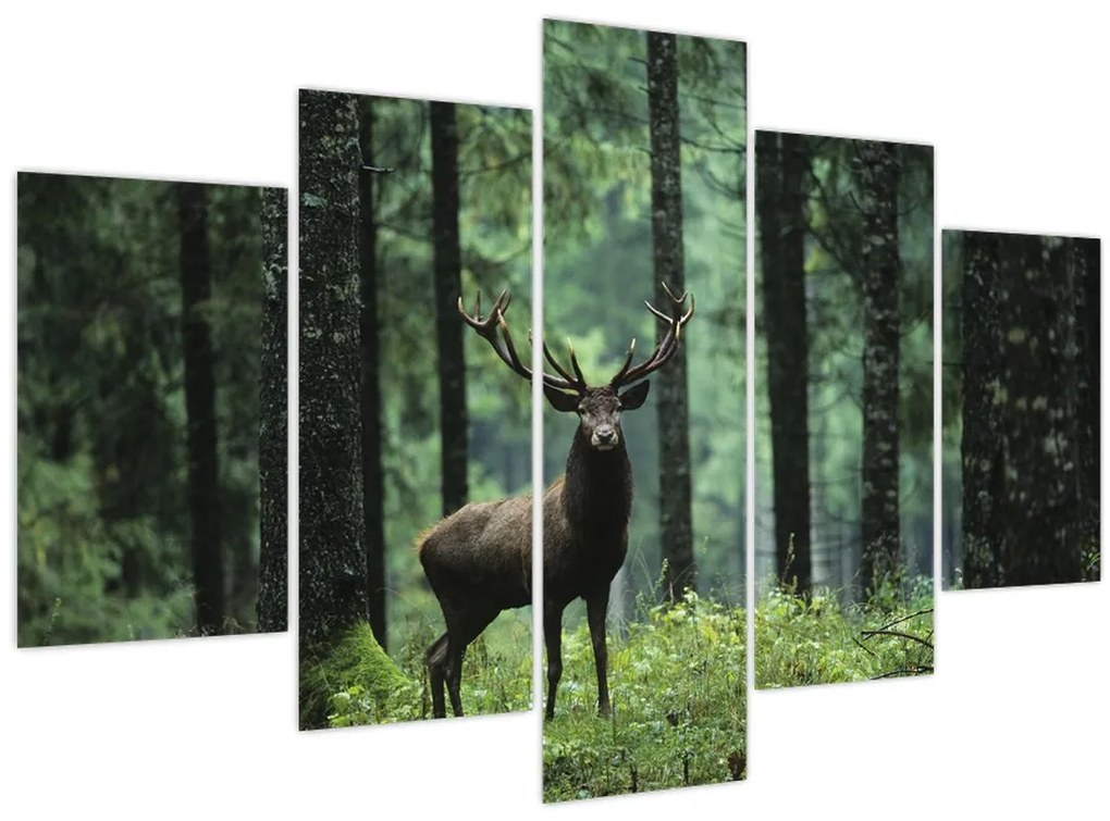 Tablou - Cerb în pădurea adâncă (150x105 cm)
