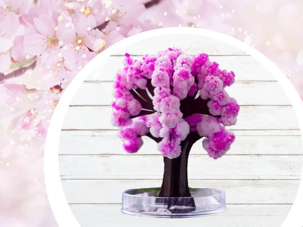 Zaparkorun Arborele magic Sakura