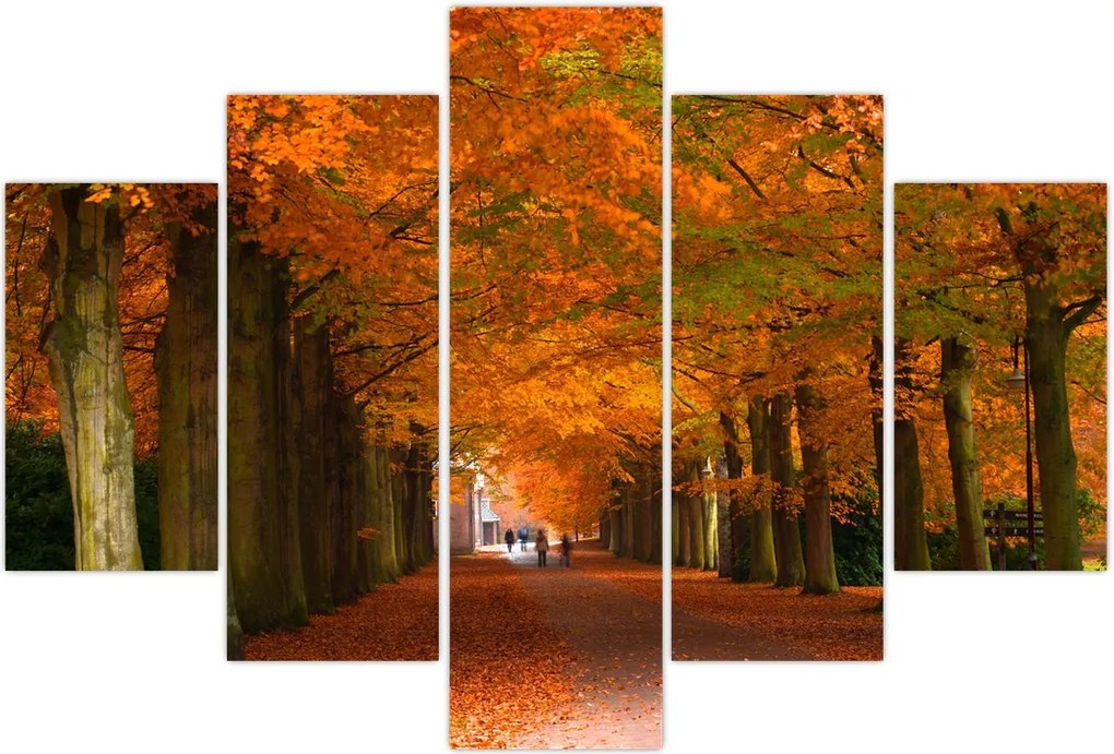 Tablou - Bulevardul de copaci în toamnă (150x105 cm)