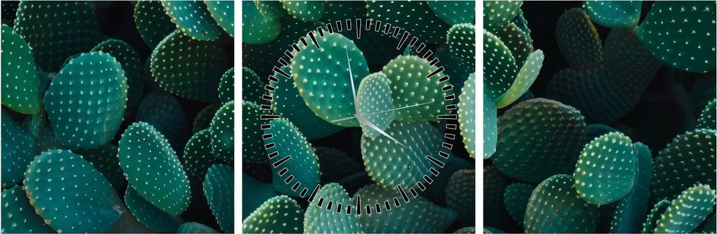 Tablou - Opuntia (cu ceas) (90x30 cm)