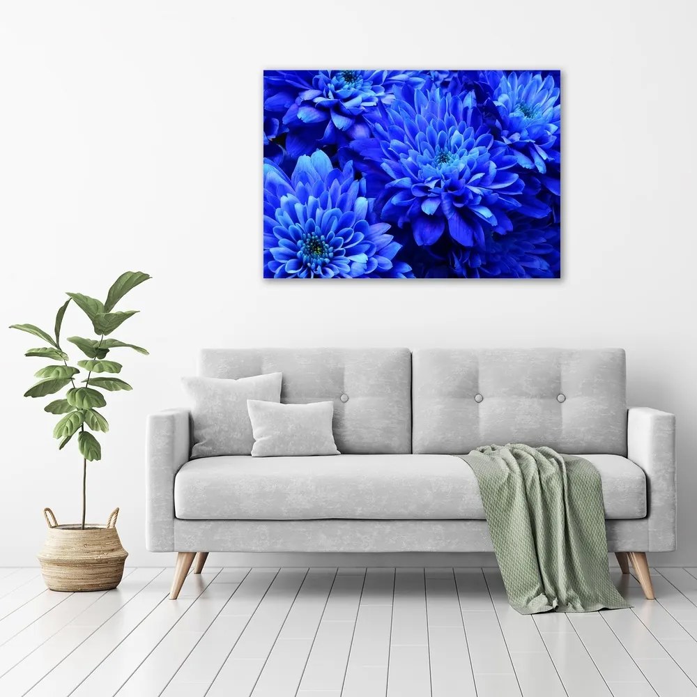 Tablou canvas Aster albastru