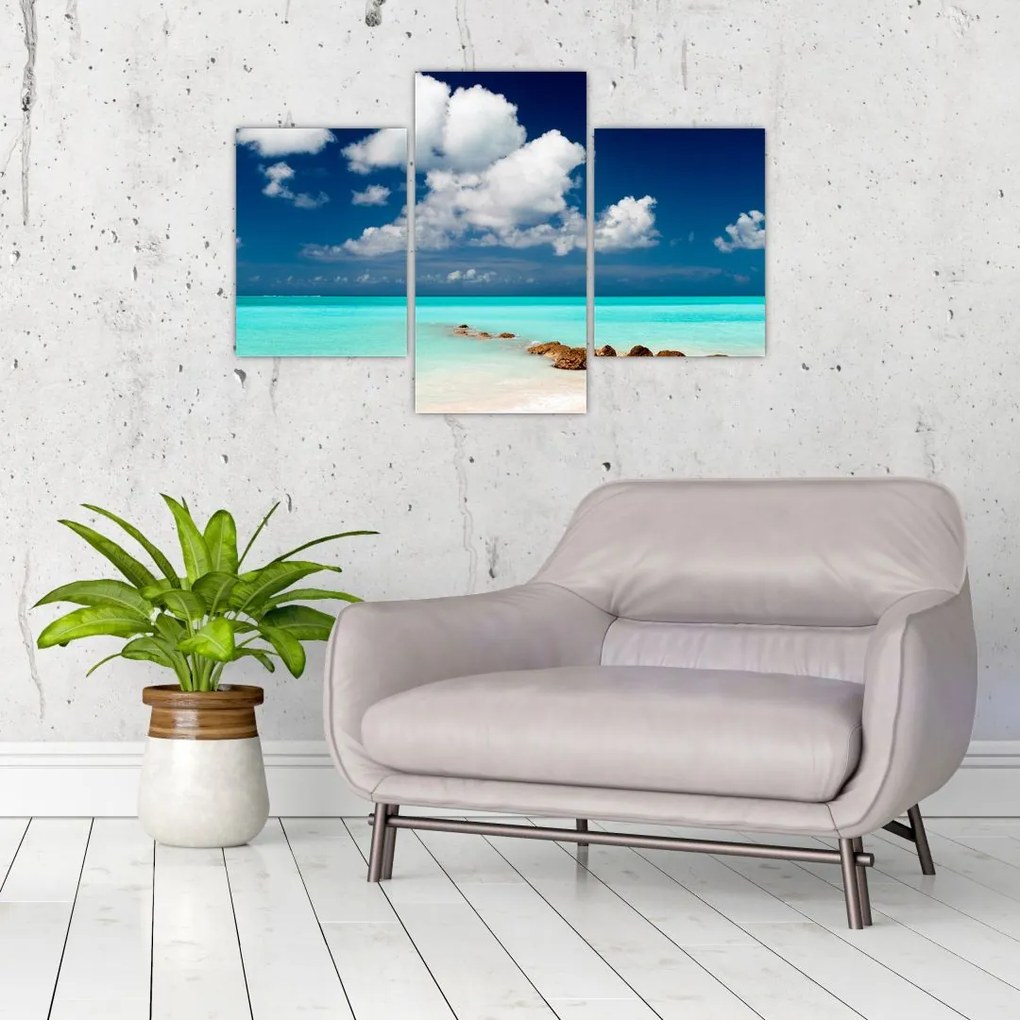 Tablou cu mare (90x60 cm)