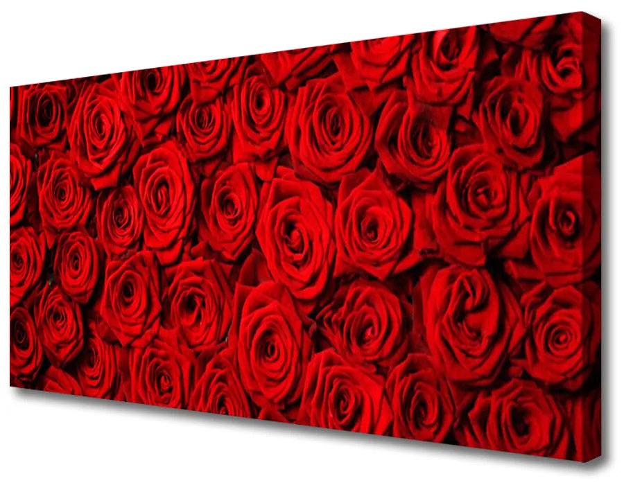 Tablou pe panza canvas Trandafiri Floral Roșu Verde Alb