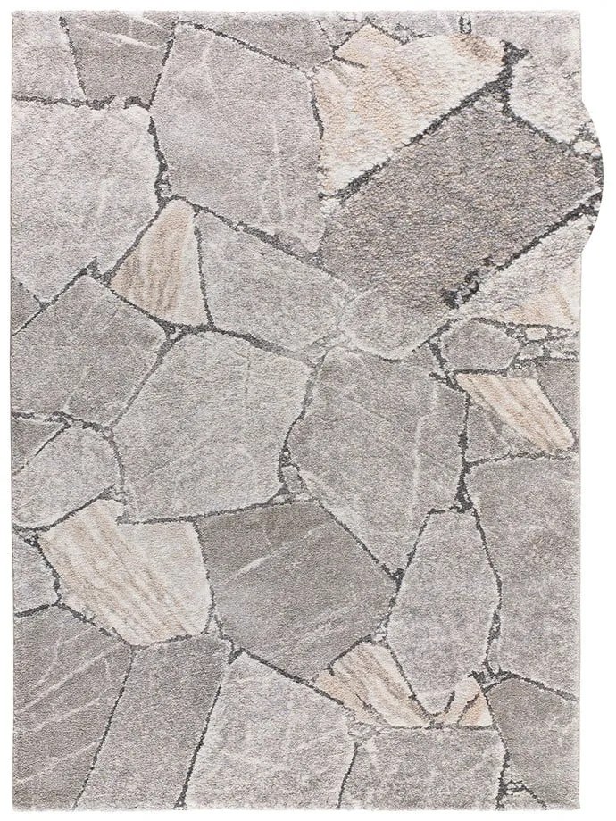Covor gri 160x230 cm Kivet – Universal