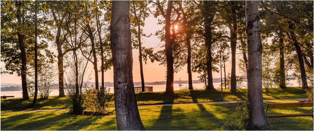 Tablou cu pomi lângă lac (120x50 cm)