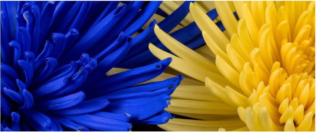 Tablou - detaliu florilor (120x50 cm)