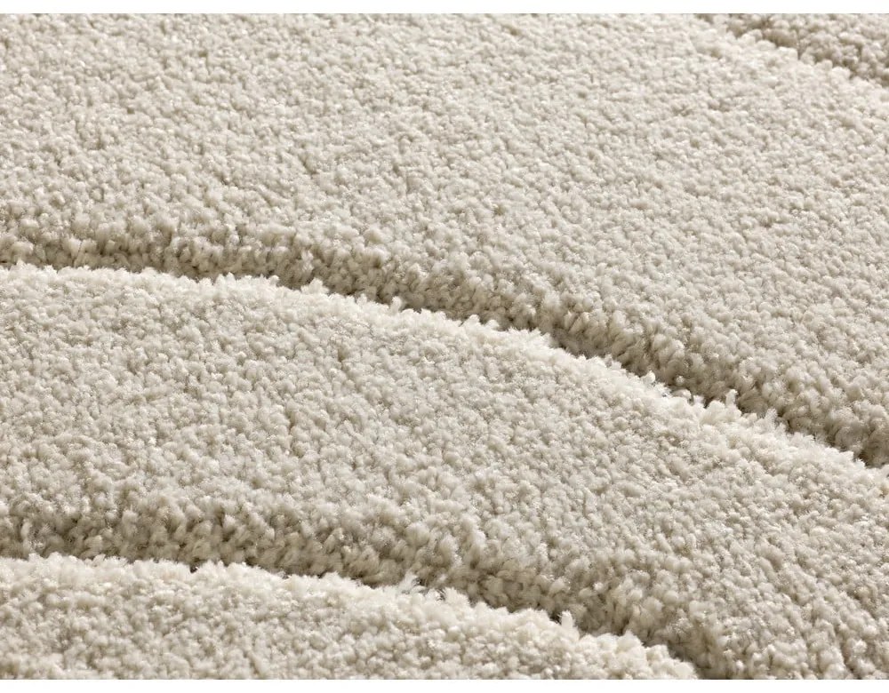Covor crem 160x230 cm Molier – Universal