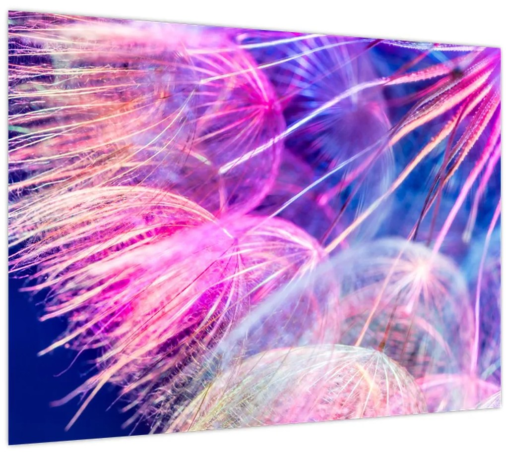 Tablou - Macro (70x50 cm)