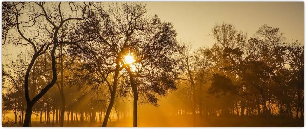 Tablou - Răsărit de soare (120x50 cm)