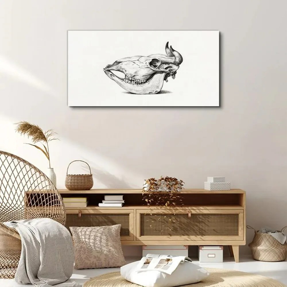 Tablou canvas Desen craniu de vacă