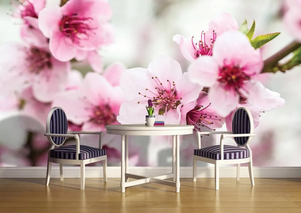 Fototapet - Flori (152,5x104 cm)