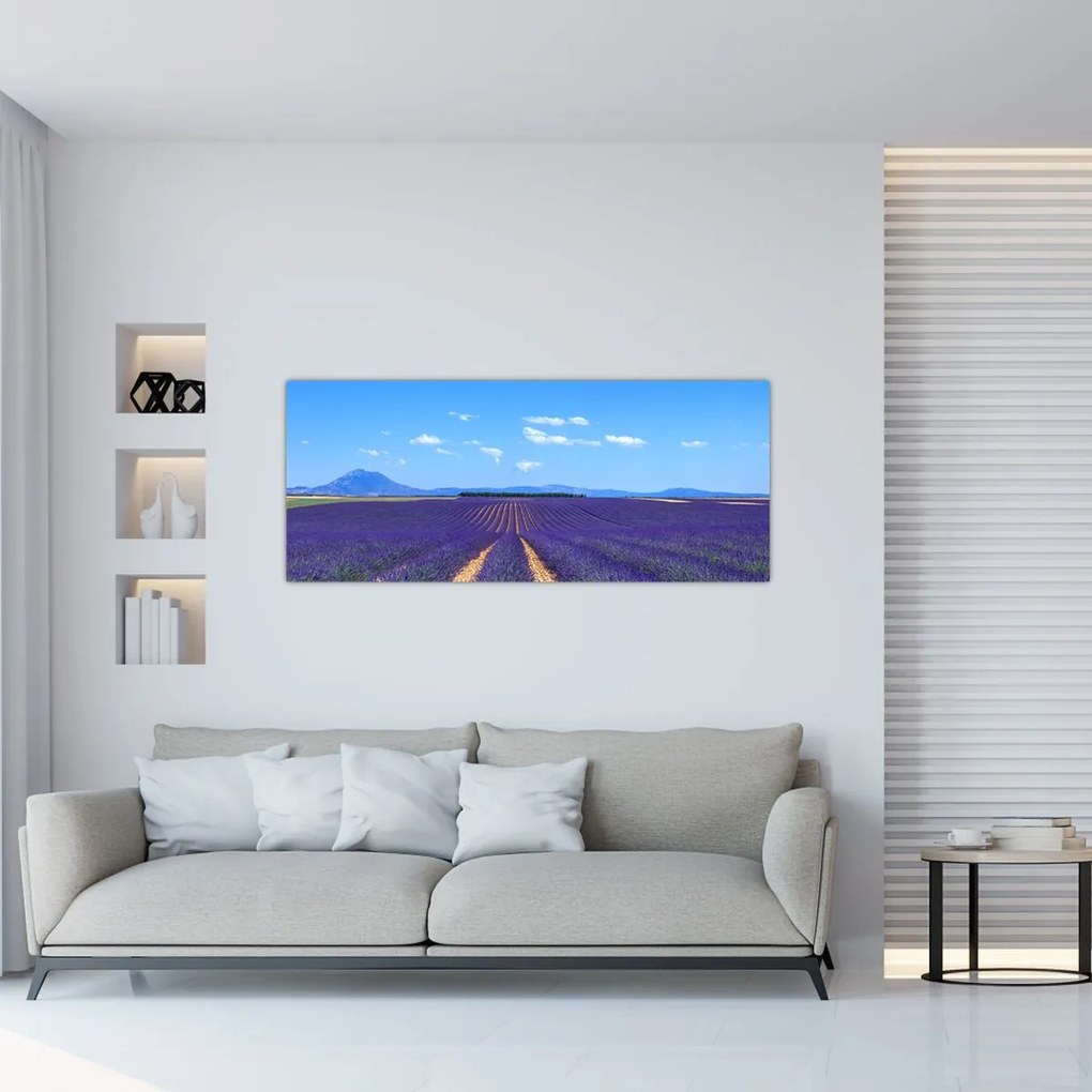 Tablou - Câmp de lavandă (120x50 cm)