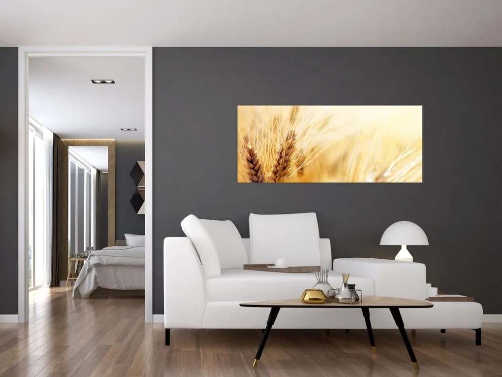 Tablou- detaliu cu (120x50 cm)