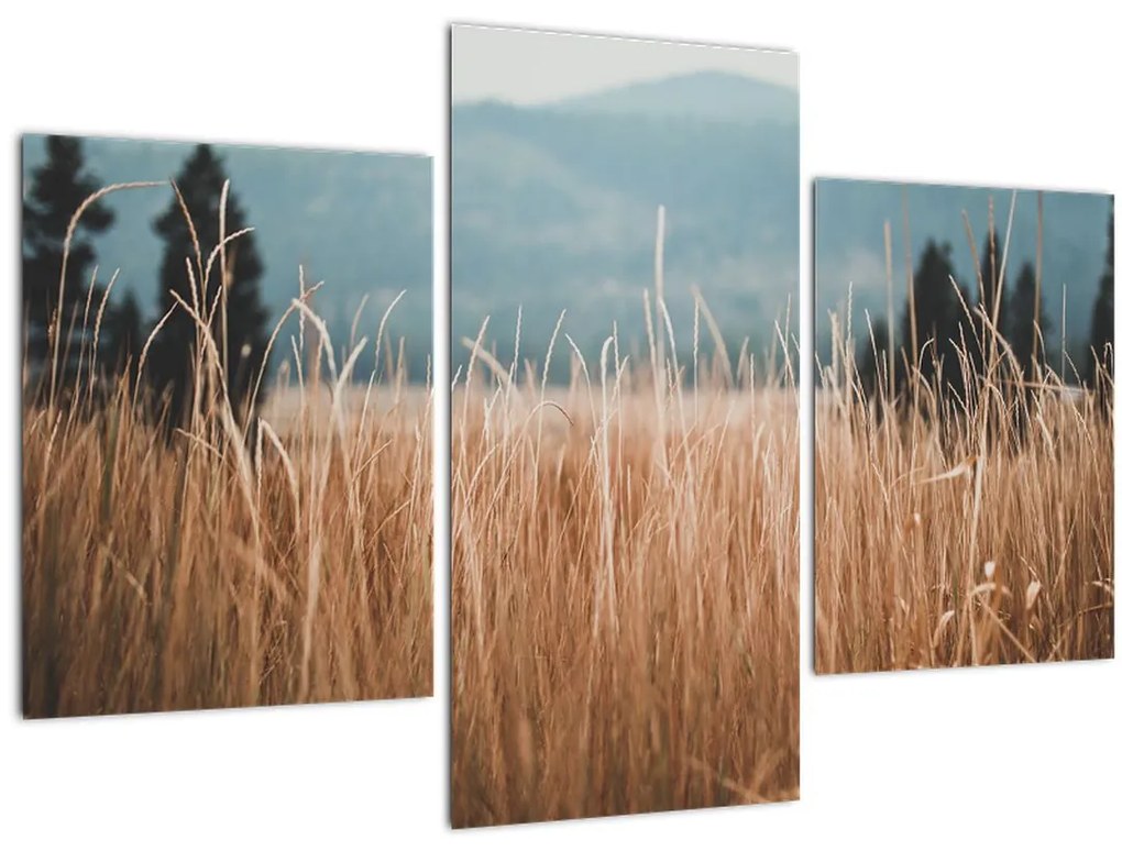 Tablou - detaliu spațiului de luncă (90x60 cm)
