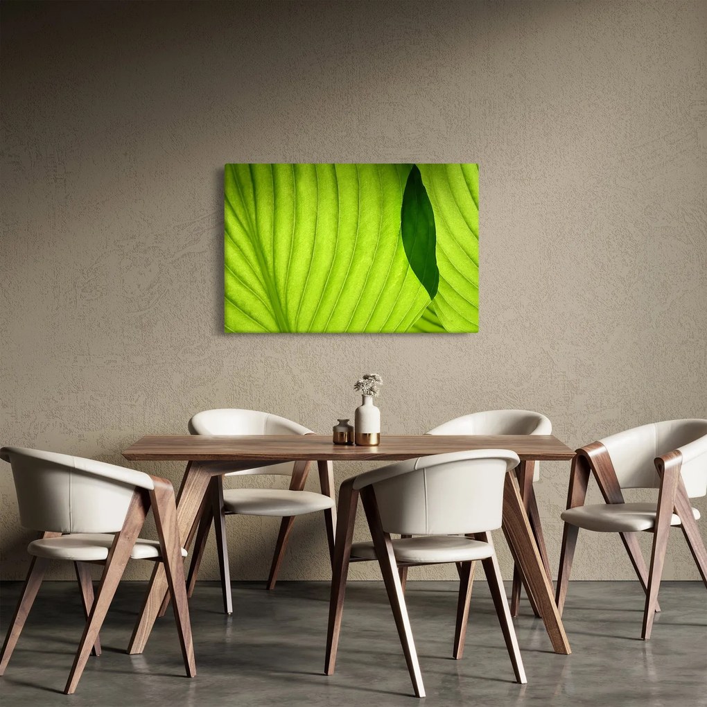 Tablou - Detaliu de frunză verde (90x60 cm)