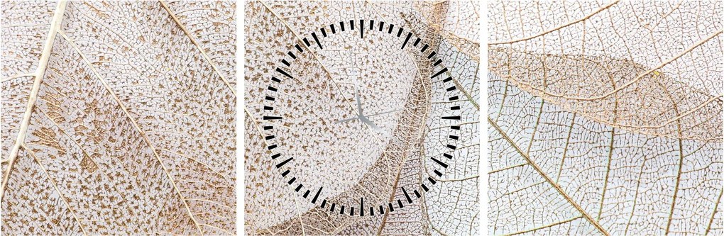Tablou - Frunze bej (cu ceas) (90x30 cm)
