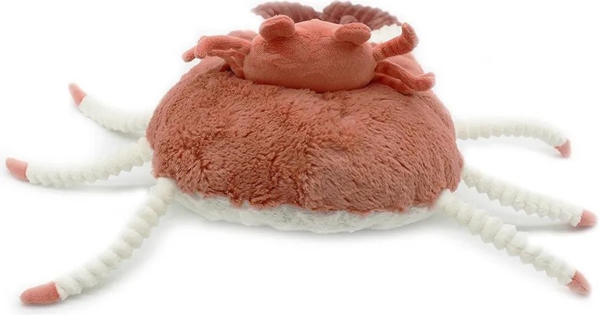 Jucării de pluș 2 buc. Ptipotos Cassecou – Les Deglingos