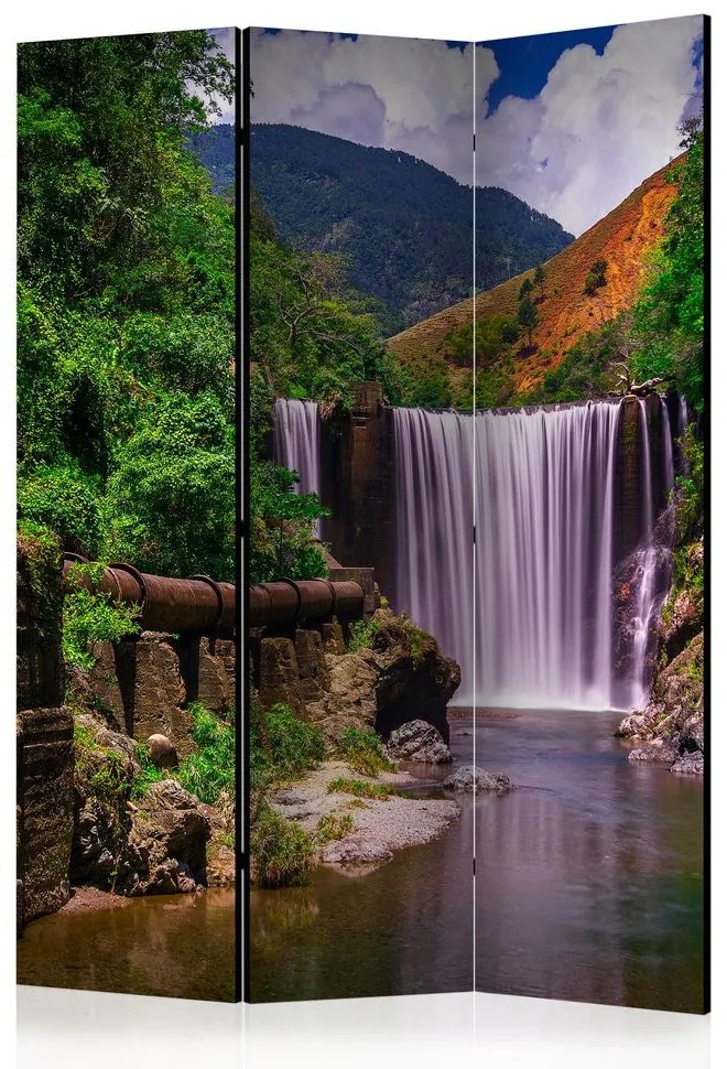 Paravan - Reggae Falls [Room Dividers]