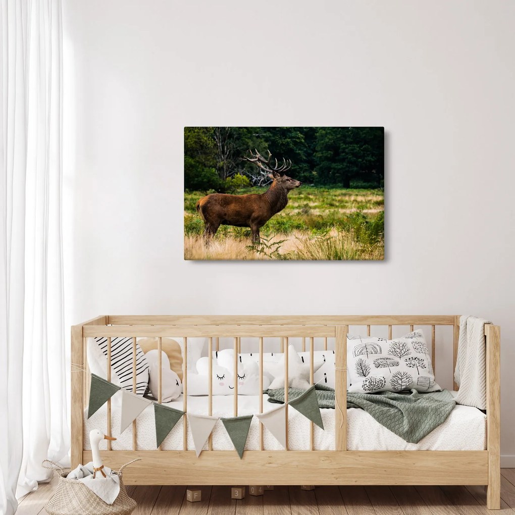 Tablou cu cerb (90x60 cm)