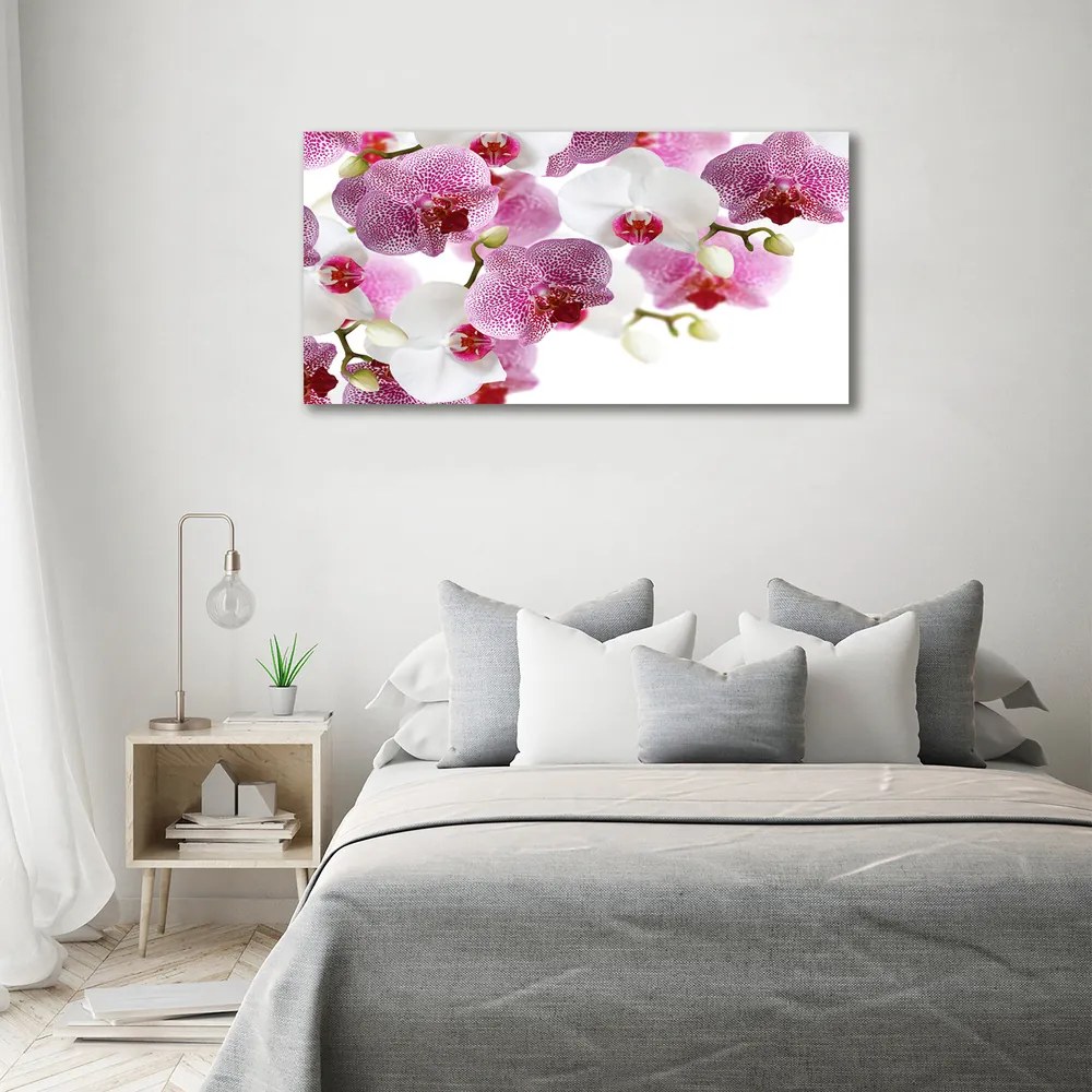 Tablou pe pânză canvas Orhidee
