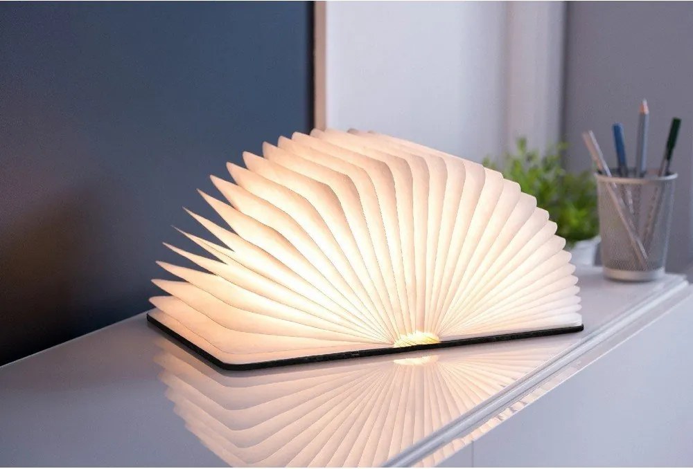 Decorațiune luminoasă neagră cu USB Booklight – Gingko
