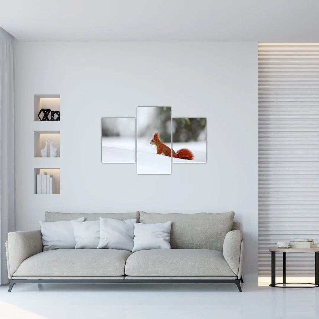 Tablou - Vevetițe (90x60 cm)