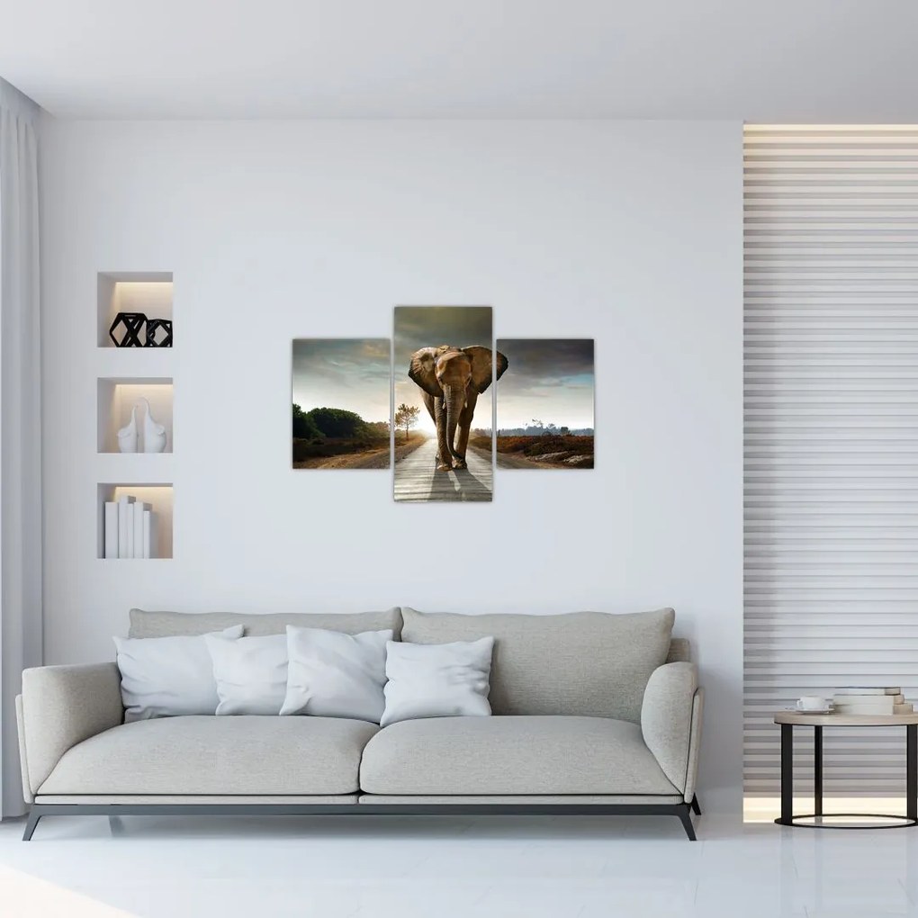 Tablou cu elefant (90x60 cm)