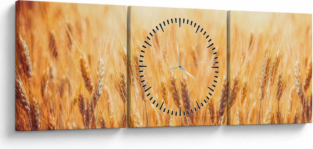 Tablou - câmp cu grâne (cu ceas) (90x30 cm)