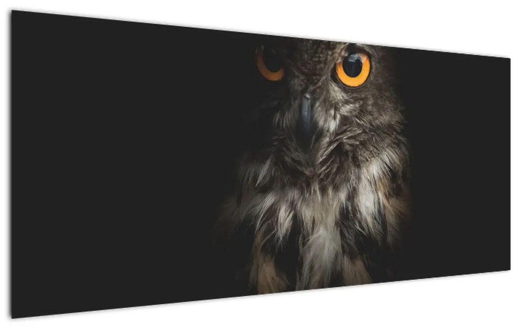 Tablou cu bufnița (120x50 cm)