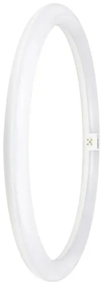 Tub LED fluorescent Osram G10q/24W/230V 6500K
