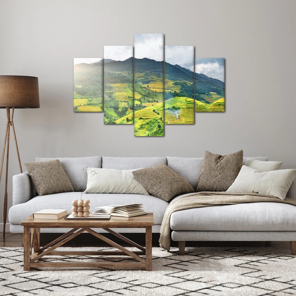Tablou plantație (150x105 cm)