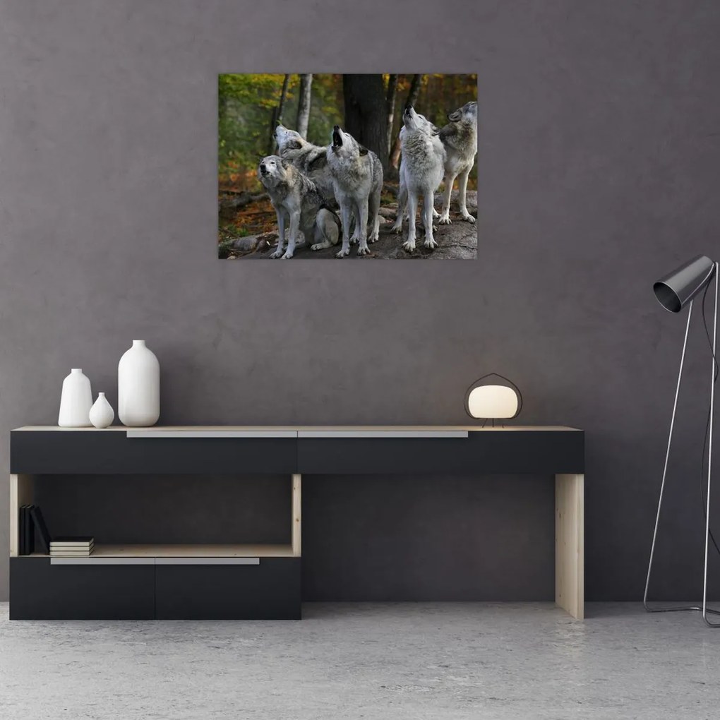 Tablou - Lupii de pe stâncă (70x50 cm)