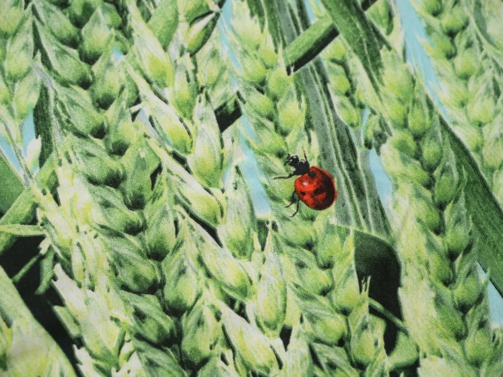 Lenjerie de microfibra POSANA verde Dimensiune lenjerie de pat: 2 buc 70 x 80 cm | 160 x 200 cm