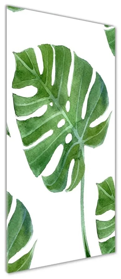 Tablou din Sticlă Monstera