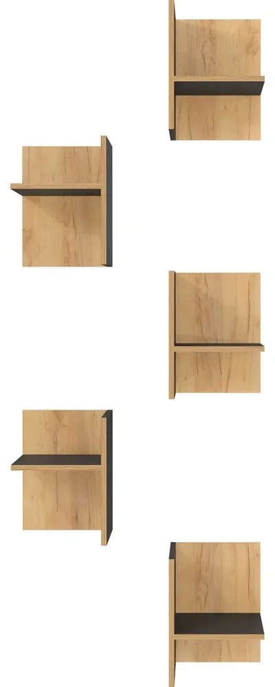 Raft suplimentar gri-antracit/în culoare naturală 5 buc. cu aspect de lemn de stejar Podium – Germania