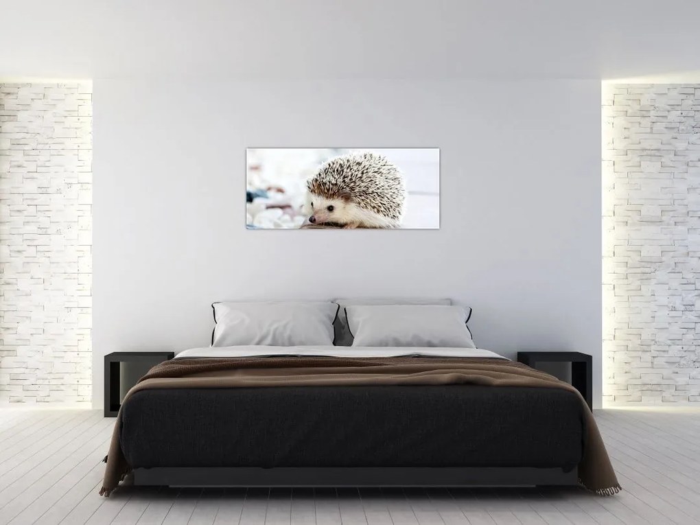 Tablou cu arici (120x50 cm)