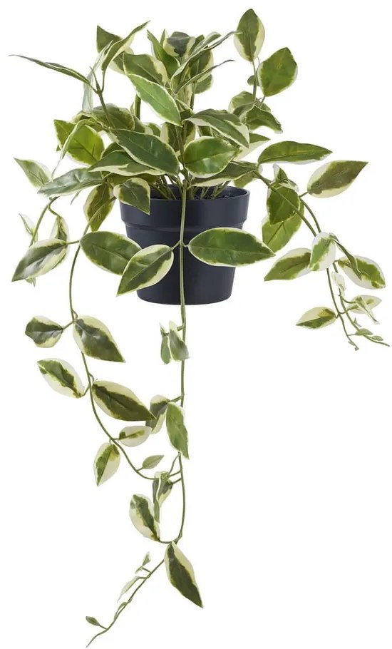 Plantă artificială (înălțime 33 cm) Hoya Carnosa – House Nordic
