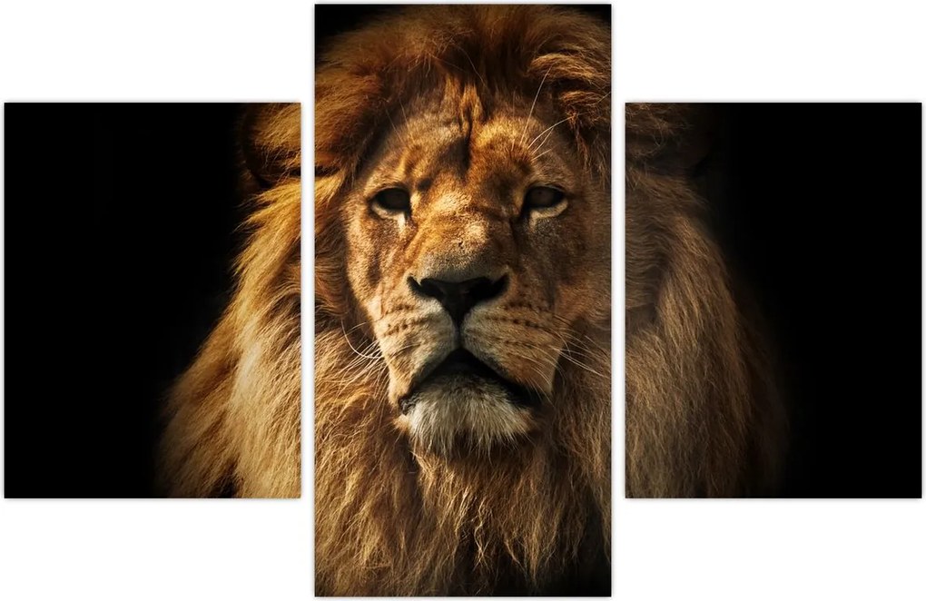 Tablou - Leu cu o coamă bogată (90x60 cm)