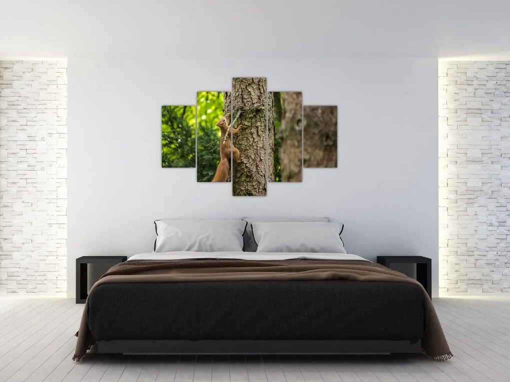 Tablou - Veverița (150x105 cm)