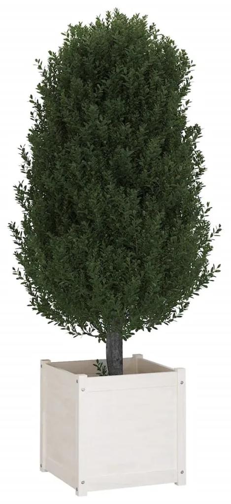 Jardiniera de gradina, alb, 50x50x50 cm, lemn masiv de pin 1, Alb