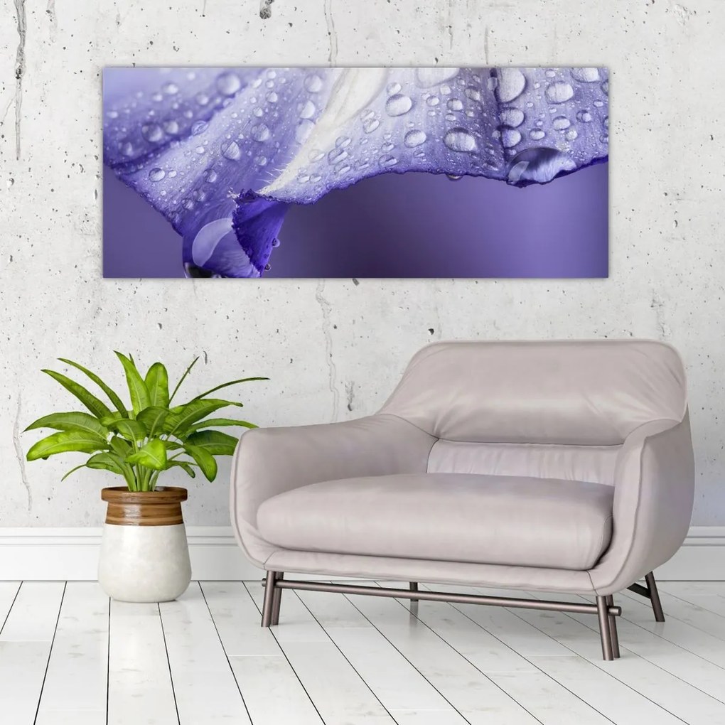 Tablou - Petală cu picături (120x50 cm)