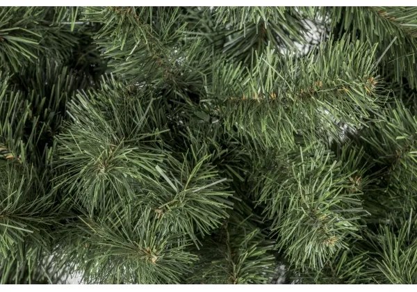 Pom de Crăciun SLIM 180 cm brad