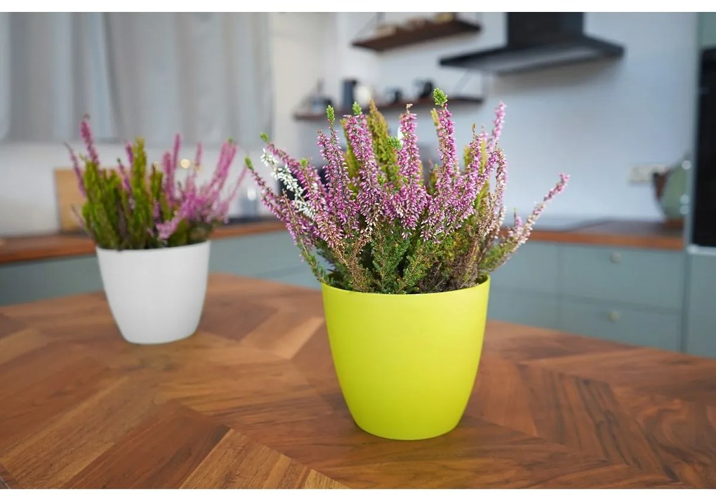 Ghiveci de flori Gardenico Ella alb mat, diametru25 cm, diam. 25 cm