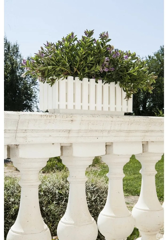 Gardenico Jardinieră Fency albă, 50 cm, 50 cm