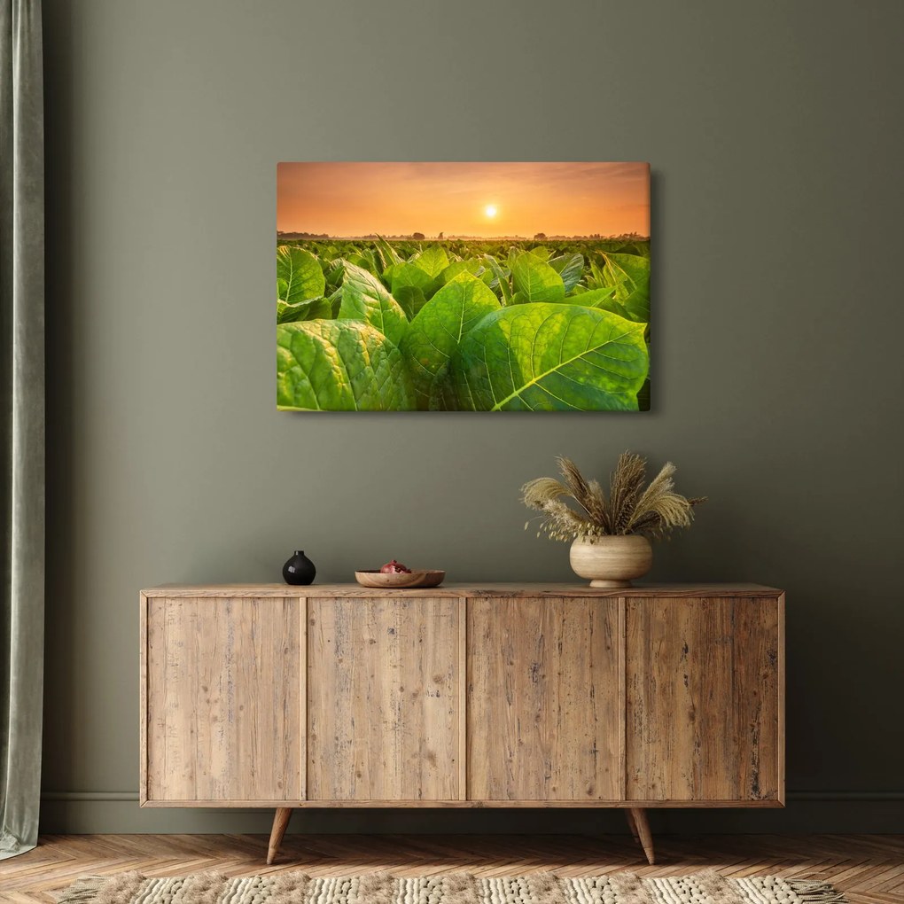 Tablou - Câmp (90x60 cm)