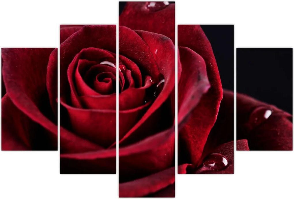Tablou - Trandafir roșu (150x105 cm)
