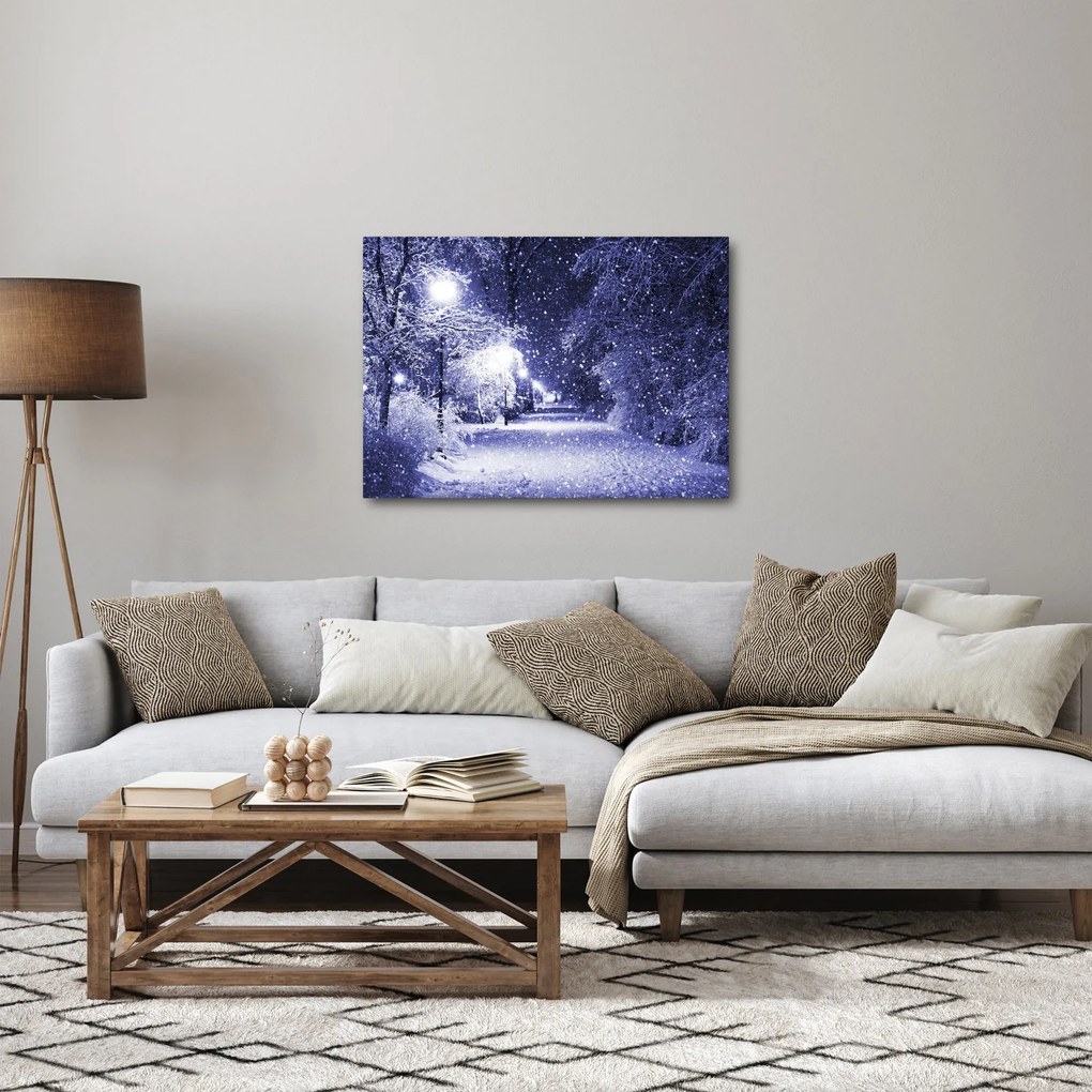 Tablou - Noaptea magică de iarnă (70x50 cm)