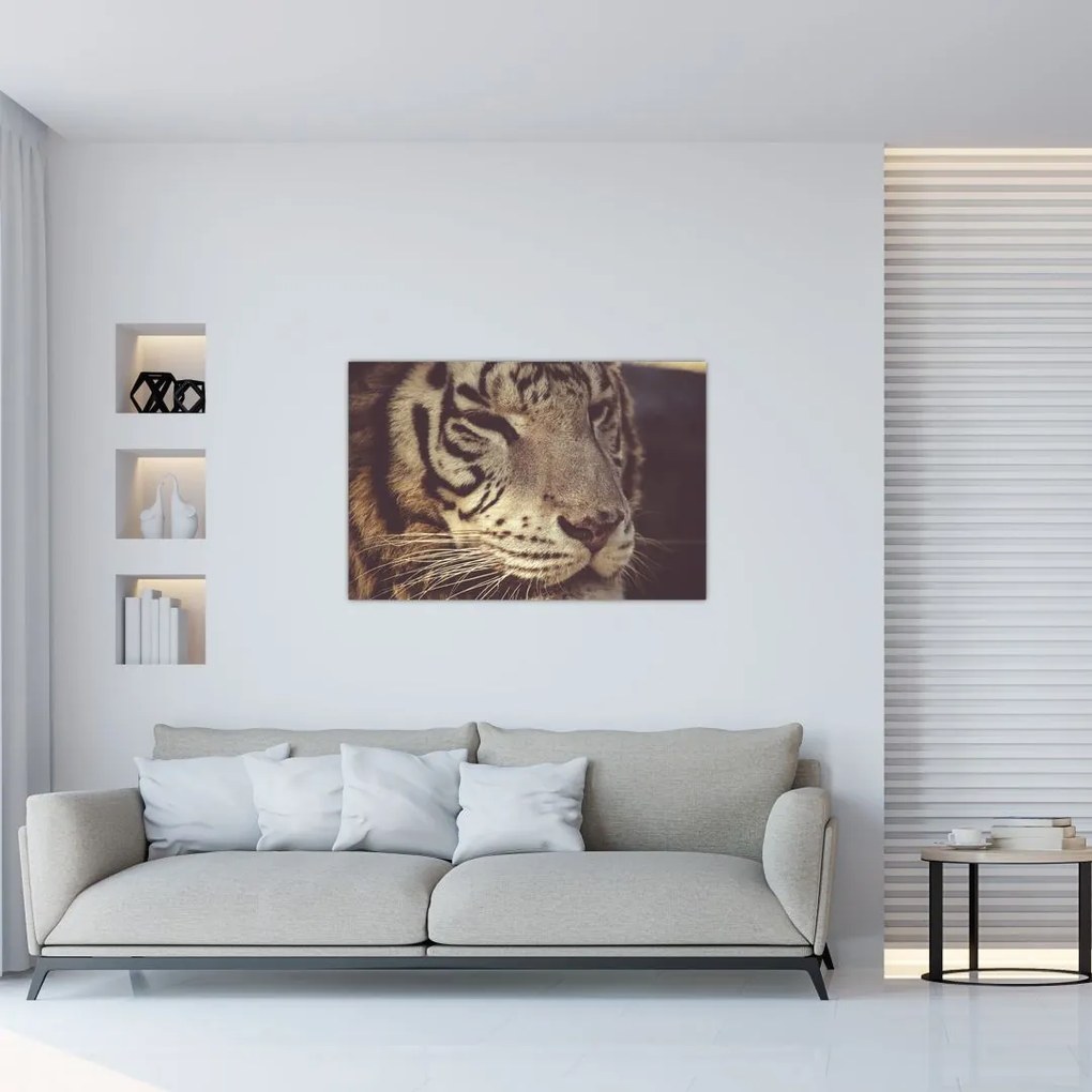 Tablou cu tigrul (90x60 cm)